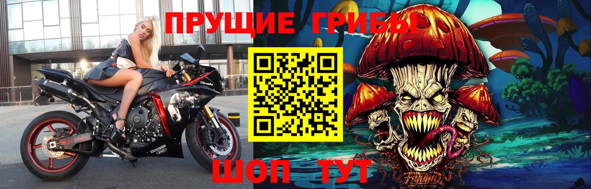 Псилоцибиновые грибы мухоморы  Вход с VPN  Псилоцибиновые грибы Magic Shrooms  Каменка 