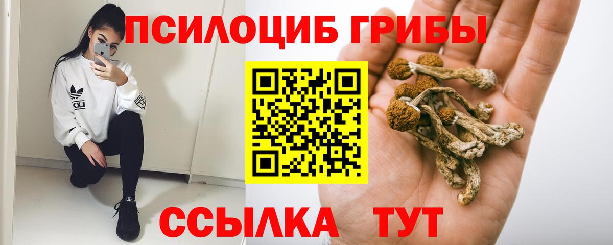 Псилоцибиновые грибы Magic Shrooms Каменка