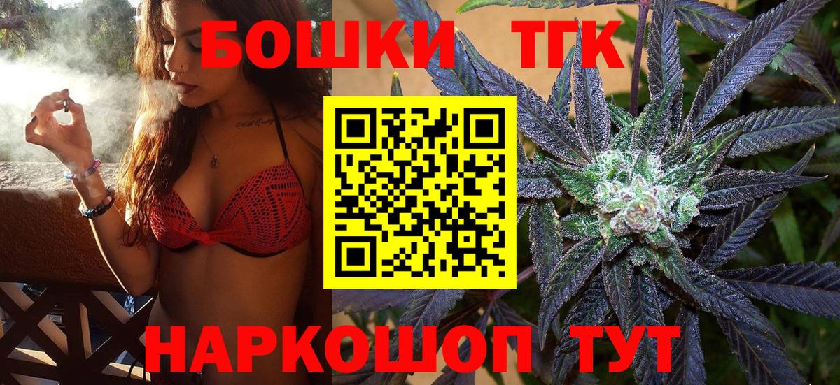 ГАШ Каменка